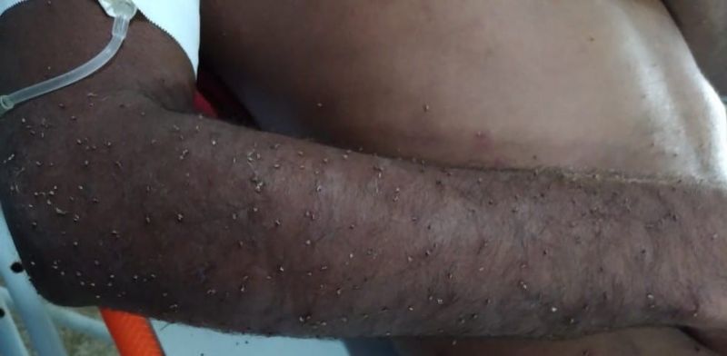 foto60254