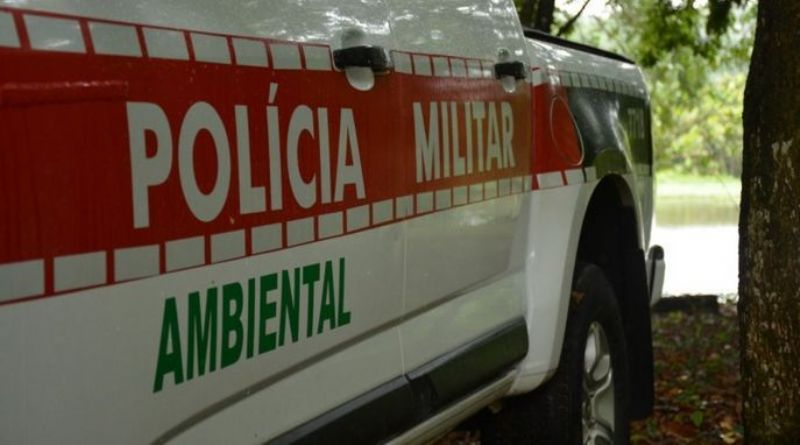 foto56575