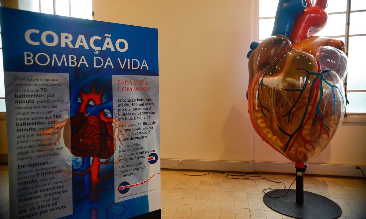 foto64693
