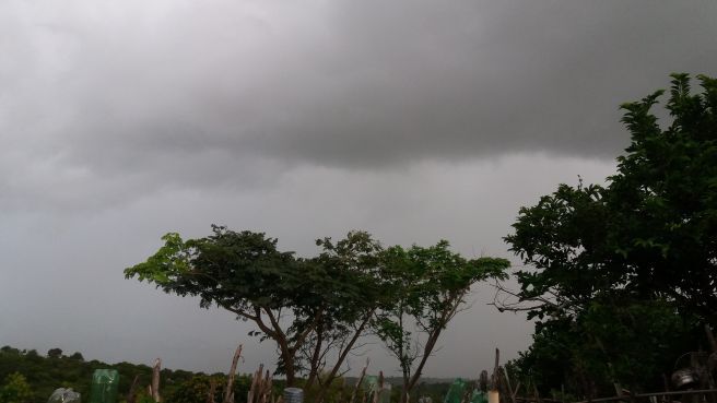 foto64059