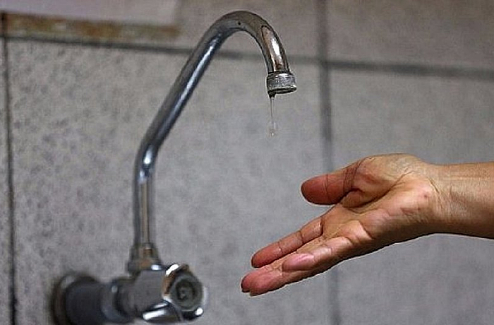 foto65619