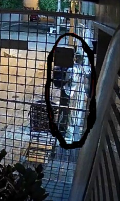 foto66417