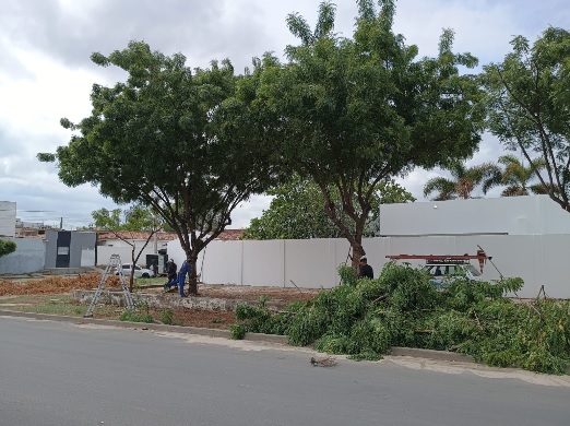 foto72404