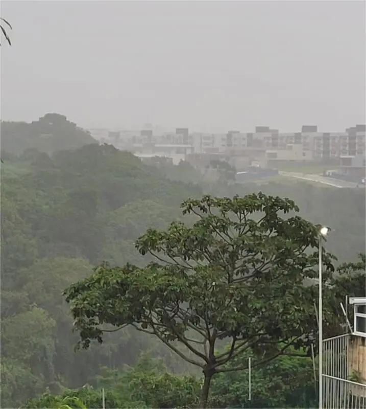foto72538