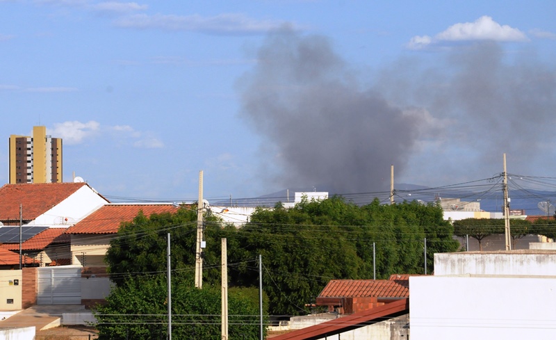foto64856